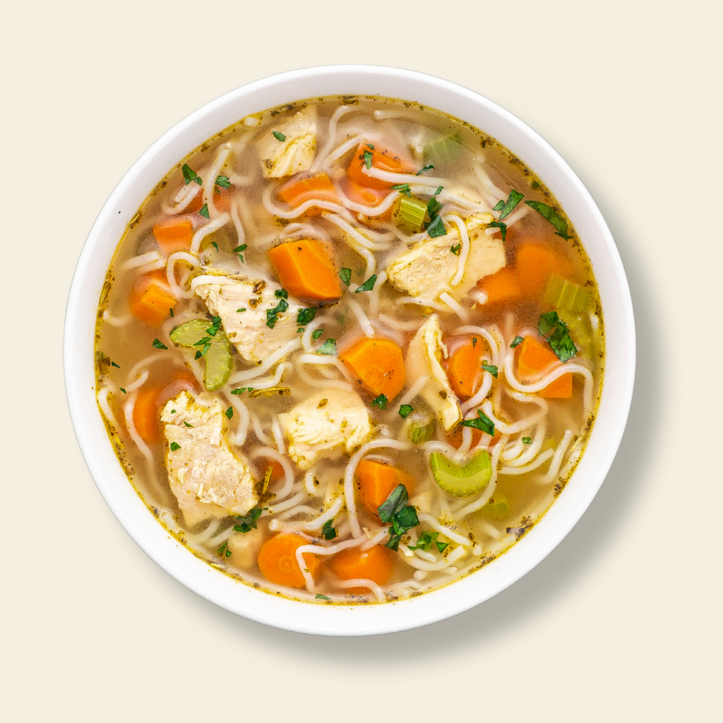 Bowle of home-made chicken noodle soup with angel hair and chunks of carrots and chicken.